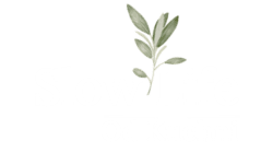 Slow Life Od Kuchni